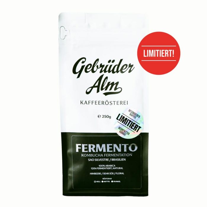 fermento kombucha kaffee